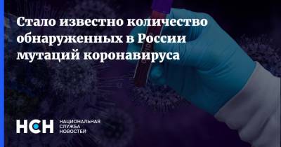 Стало известно количество обнаруженных в России мутаций коронавируса