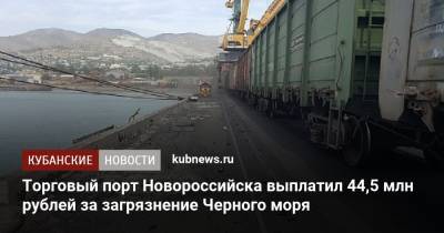 Торговый порт Новороссийска выплатил 44,5 млн рублей за загрязнение Черного моря