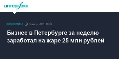 Бизнес в Петербурге за неделю заработал на жаре 25 млн рублей