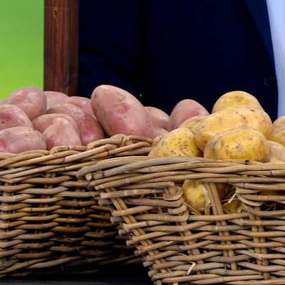 В Швейцарии из-за коронавируса резко выросло потребление картофеля