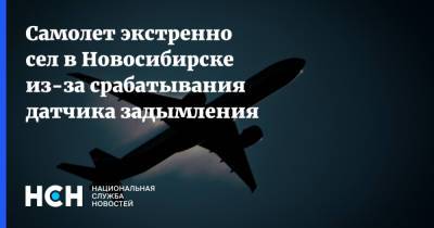 Самолет экстренно сел в Новосибирске из-за срабатывания датчика задымления