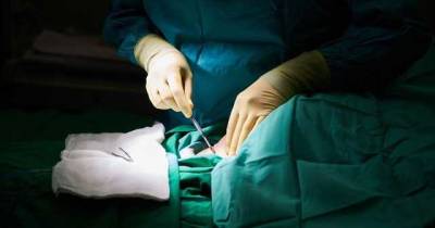 В Николаеве хирурги 9 часов пришивали мужчине отрезанную руку