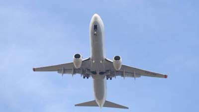Boeing совершил вынужденную посадку в Новосибирске из-за датчика задымления