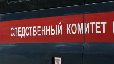 СК проверит всех пилотов S7 по делу о взятке в 1,5 млн рублей