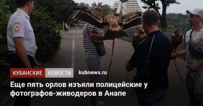 Еще пять орлов изъяли полицейские у фотографов-живодеров в Анапе