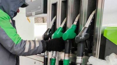 Опубликована новая максимальная цена на бензин и дизтопливо