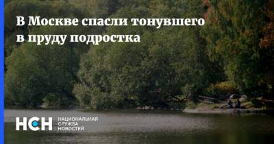 В Москве спасли тонувшего в пруду подростка