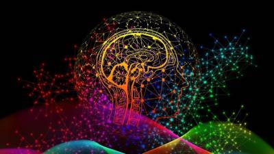 Российские ученые впервые в истории нашли "думающие" участки мозга