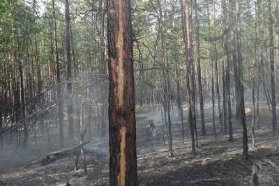 За сутки в Бурятии тушили 11 лесных пожаров