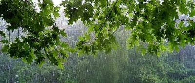 На выходных украинцев ждут грозовые дожди: прогноз погоды