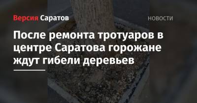 После ремонта тротуаров в центре Саратова горожане ждут гибели деревьев