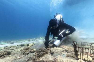 Археолог обнаружил 6000-летнее островное поселение у хорватского побережья