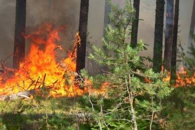 В Оренбургской области в десяти территориях высокий класс пожароопасности