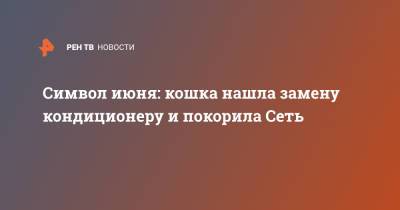 Символ июня: кошка нашла замену кондиционеру и покорила Сеть