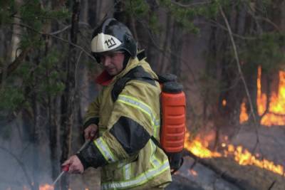 Режим ЧС введен в северном районе Иркутской области из-за лесных пожаров