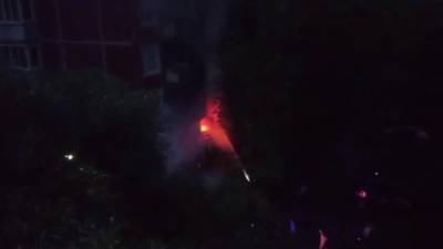 При пожаре в квартире на Академика Байкова погибла пожилая женщина - видео