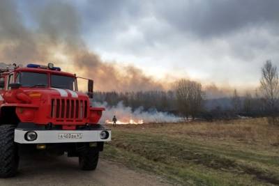 Тонну сена уничтожил огонь в Демидовском районе
