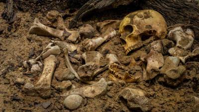 Народ Нешер Рамла: в Израиле нашли останки неизвестного вида древних людей