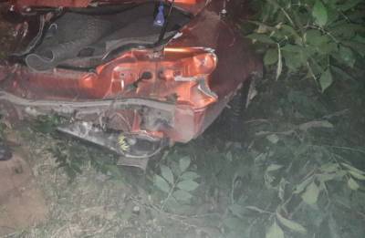 Авто зацепило женщину и девочку: в Харькове машина слетела в кювет, кадры