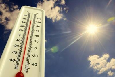 25 и 26 июня в Брянске ожидается аномальная жара