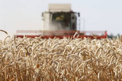 В Костромской области решили облегчить инвесторам решение аграрного вопроса