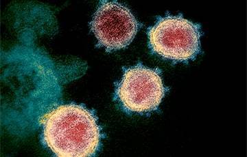 В ДНК человека нашли следы древней эпидемии коронавируса