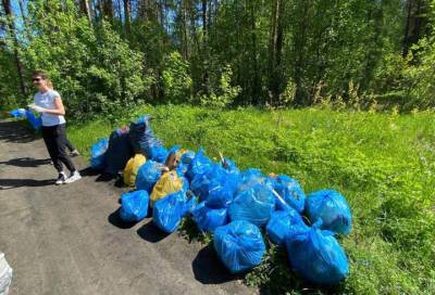 Региональный оператор предложил метод утилизации отходов, собранных на частных субботниках