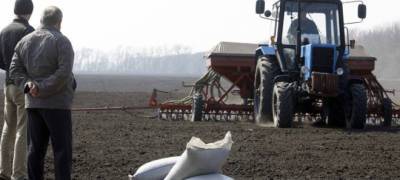 Производство в сельском хозяйстве Карелии падает вопреки прогнозам властей