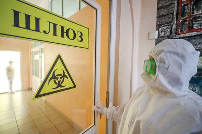 Коронавирусом в России заболели еще 20393 человека