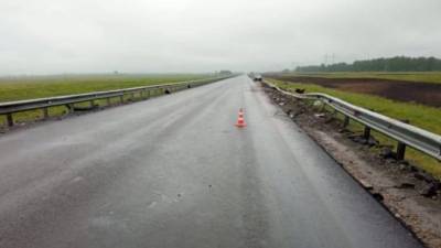 Молодой водитель погиб в ДТП с фурой в Новосибирской области