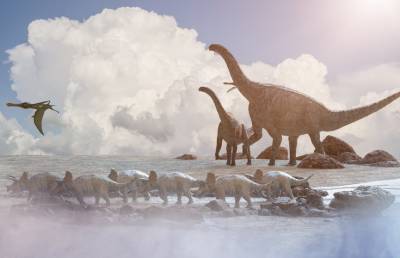 Останки динозавров впервые нашли в Арктике