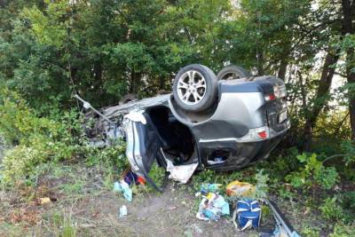 В Путятинском районе в ДТП с КамАЗом погибла пассажирка Mitsubishi