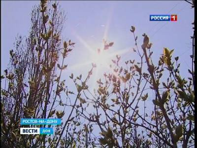 В Ростовской области завтра прогнозируют 40-градусную жару