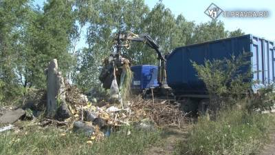 В Ульяновской области нашли 150 незаконных свалок. Кто виноват и что делать