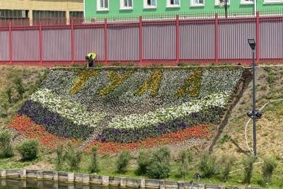 На Казанской набережной в Туле спасают от жары цветочную композицию
