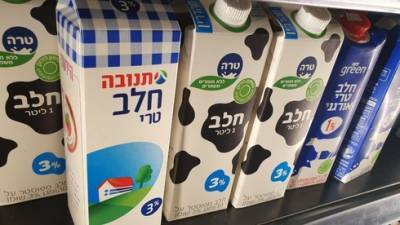 С 1 июля в Израиле подорожает молоко на фермах: что ждет покупателей