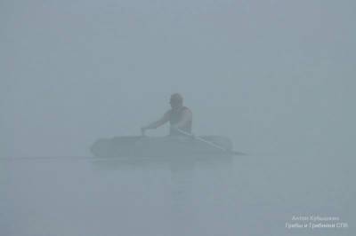 Таинственный туман окутал Ладожское озеро рано утром — фото