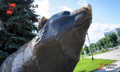 На пластикового медведя в Уватском районе потратят 3,5 млн рублей