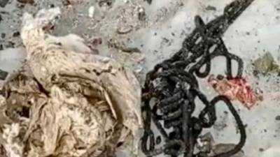 В ущелье Адыр-Су обнаружены останки альпиниста 40-х годов