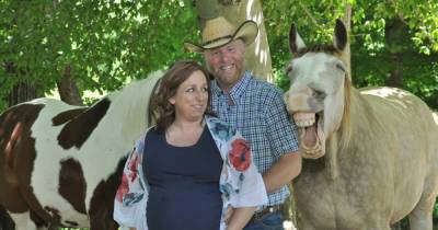 Смеющаяся лошадь затмила беременную хозяйку на фотосессии и стала звездой Сети (фото)