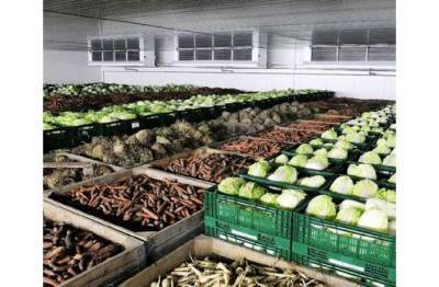 В Дашогузском регионе Туркменистана возводится первый частный холодильный склад по хранению сельхозпродукции