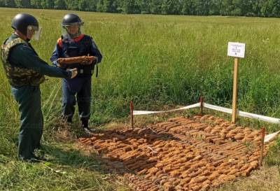 Более 700 опасных предметов нашли в полях близ деревни Тверской области