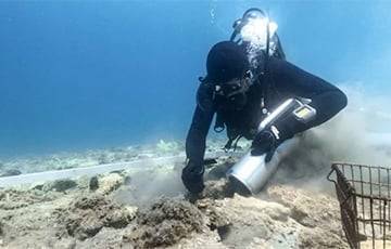 Археолог случайно обнаружил древнее поселение на дне Адриатического моря