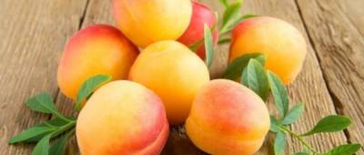 Медики назвали летние плоды, которые нельзя употреблять на голодный желудок