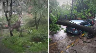 Львов поплыл после непогоды: ливень повалил деревья, авто в воде