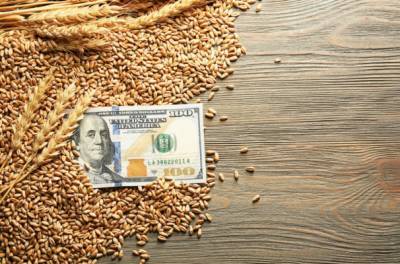 Россия повысит экспортную пошлину на пшеницу с 30 июня