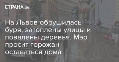 На Львов обрушилась буря, затоплены улицы и повалены деревья. Мэр просит горожан оставаться дома