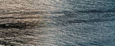 Годовалая девочка утонула в оросительном канале в Чечне