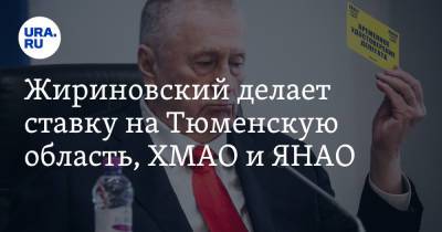 Жириновский делает ставку на Тюменскую область, ХМАО и ЯНАО