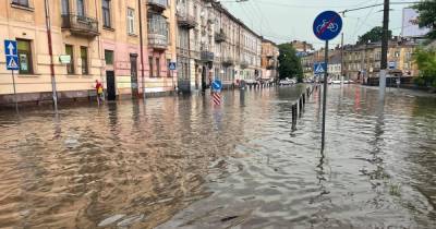 Затопленные улицы и поваленные деревья: Львов накрыла мощная буря (фото, видео)